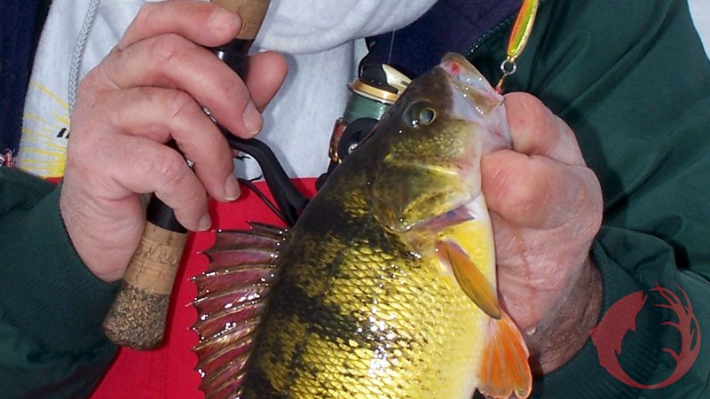 Best ice fishing game online in United Kigdom