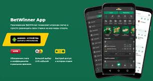 Comprehensive Guide to BetWinner Sign In Process -808039167 Comprehensive Guide to BetWinner Sign In Process -808039167