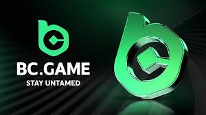 The Ultimate Guide to BC.Game Mirror Mobile App -596098292