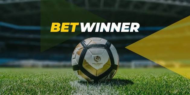 Your Ultimate Guide to BetWinner Platform
