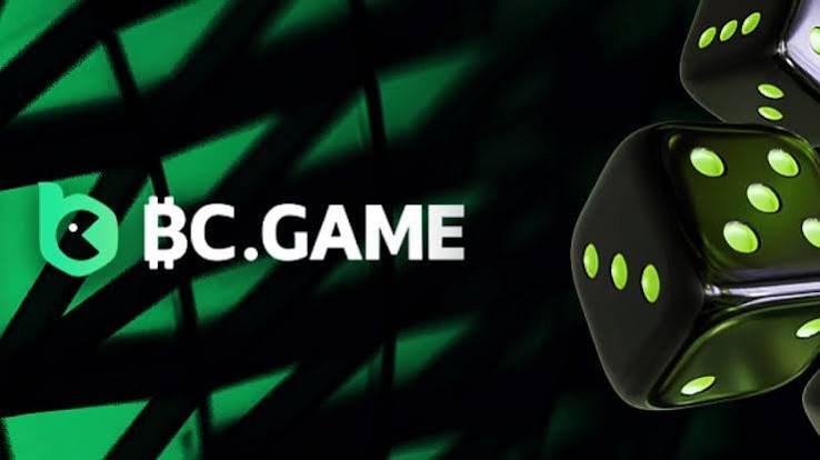 Experience the Thrill of Gaming at BC.Game Casino Platform